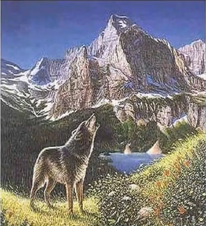 There are 6 wolves in the image